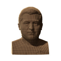 3D пазл-конструктор Cartonic 3D Puzzle Zel Зеленський Картонний (CARTMZEL)